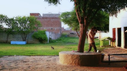 Maa Pyari Maa.. | Mother Day Song 2015 🎶