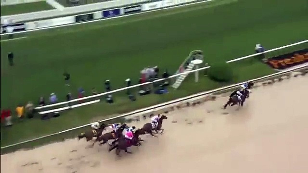 AMERICAN PHARAOAH  wins #Preakness 2015 PREAKNESS STAKES G1 AMERICAN PHARAOAH