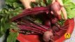 Healthy Cooking and Eating Well - Beetroot