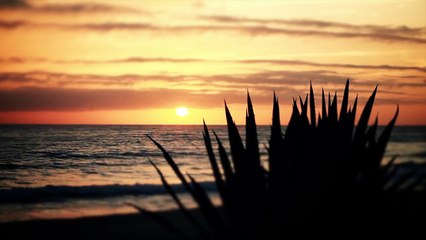 Mos Def - "No Hay Nada Mas" (and a Mexico Timelapse)