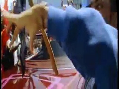 Bloods & Crips G's & Locs - Bohemia After Dark