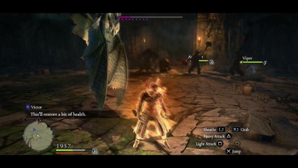 autum victor viper omma