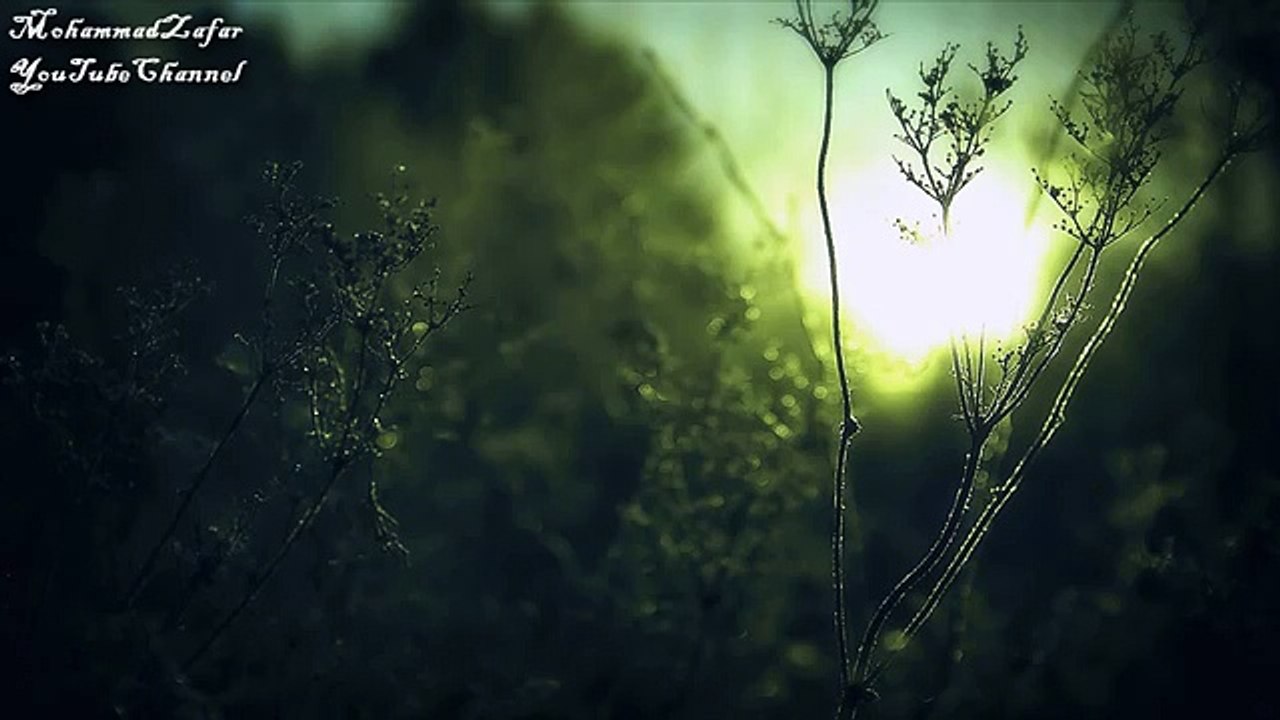best nasheed