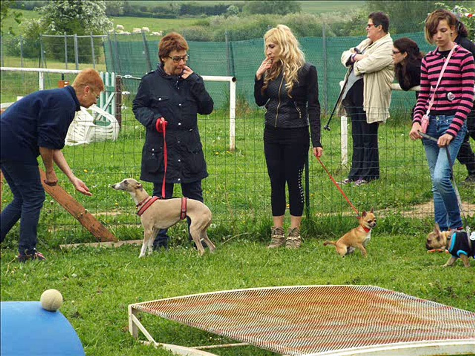 maternelle le 16 mai 2015