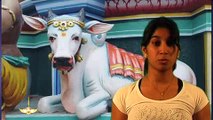 Sanatan Dharm net Darshan_Cows in India