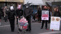 Giornata Mondiale per l'abolizione della carne - Pordenone 29 gennaio 2012
