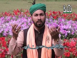 Hazoor Mari To Sari New Naat By Hafiz Tayab Husain Noshahi 03234758066