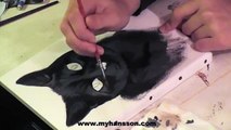Speed painting, cat portriet by My Hansson