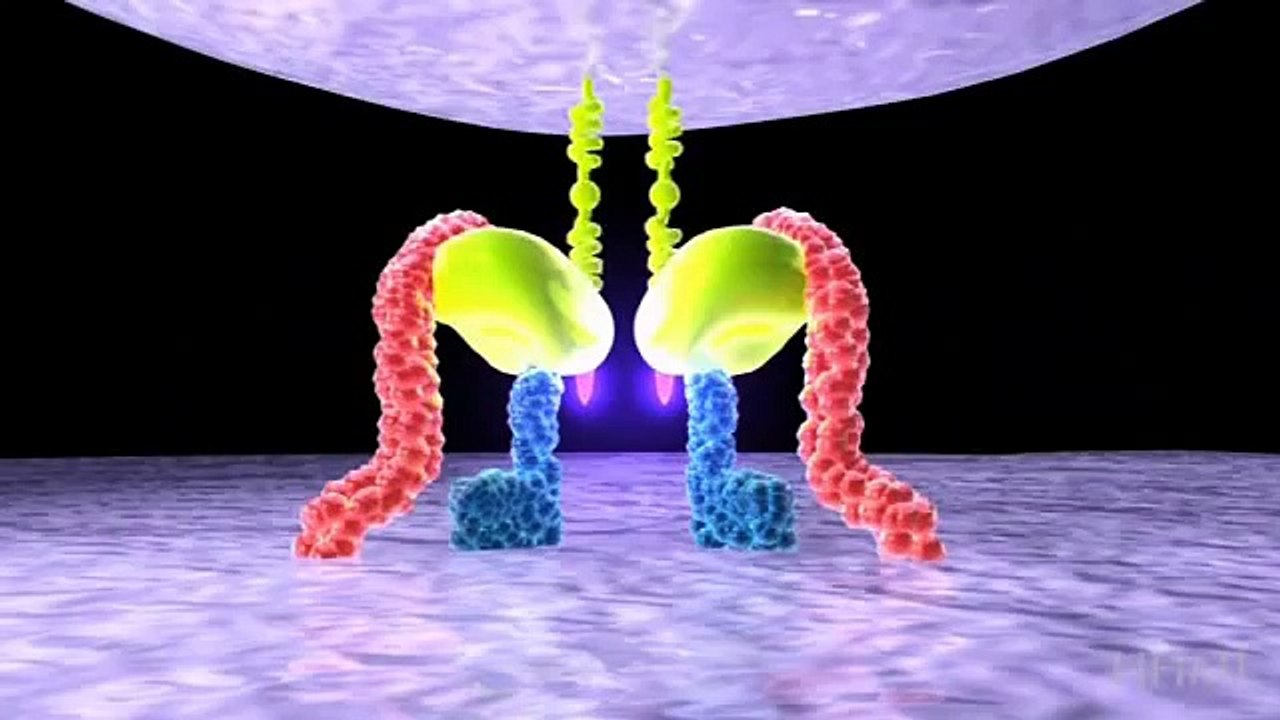 Retrovirus reverse transcripiton