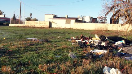 Delta Smelt & Undocumented Farm Workers: How Federal Policy Is Failing CA's Central Valley