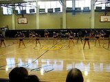LSU Tiger Girls 2010-Show Off