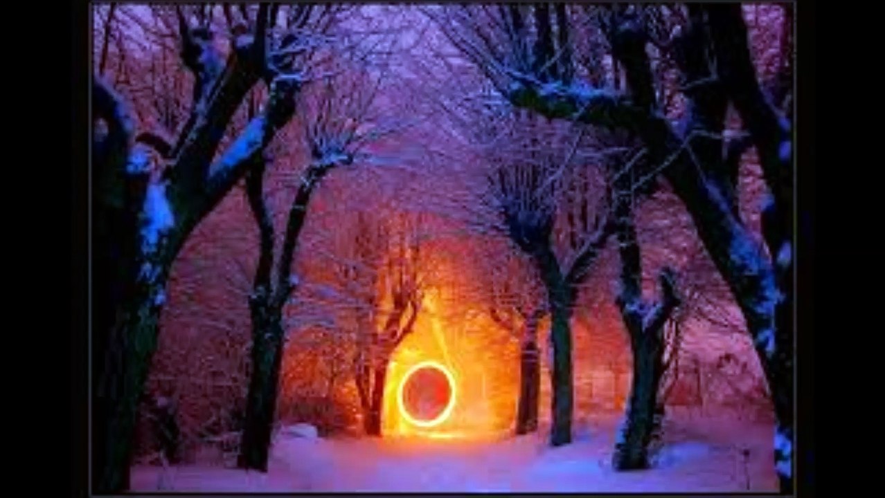 Darkwood - Feuerkreis