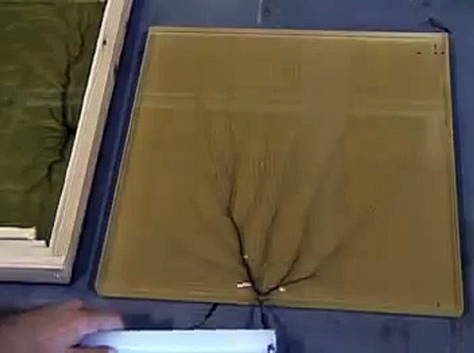 Captured Lightning: 2.2 million volt Lichtenberg Figure Sculpture