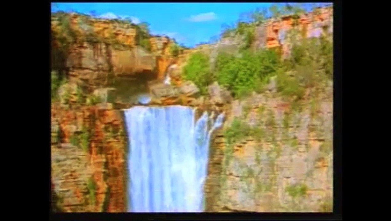 Professor Gerald Goeringer testifying about Quran descriptions on embryology