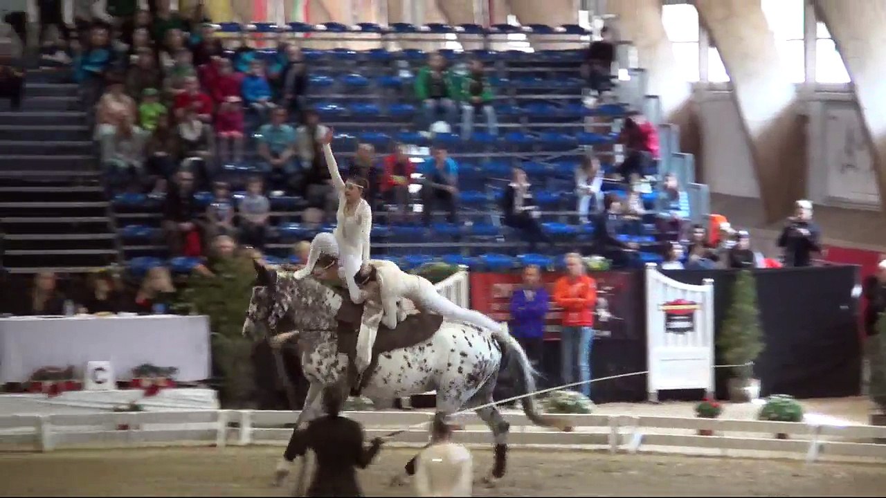 CVI Bern 2015 (REPLAY) - Squad CVIJ2* - Team Tösstal (SUI) – Freestyle2