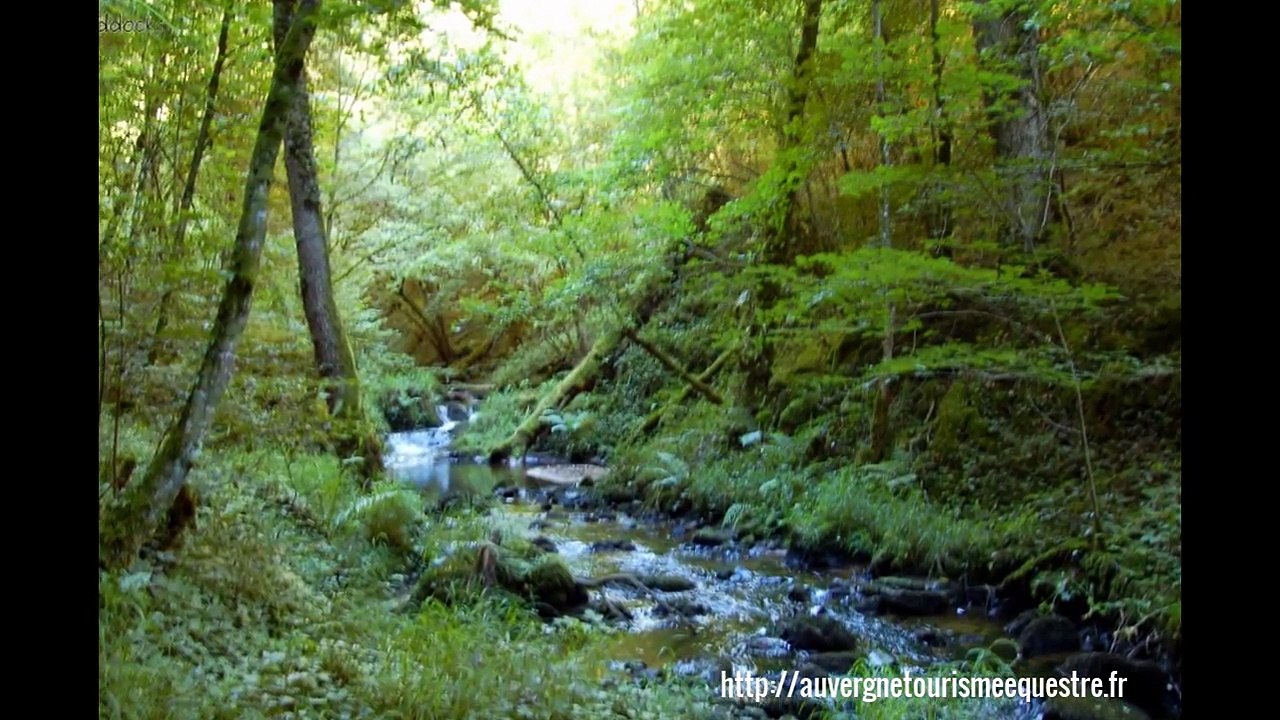 Petite présentation en musique