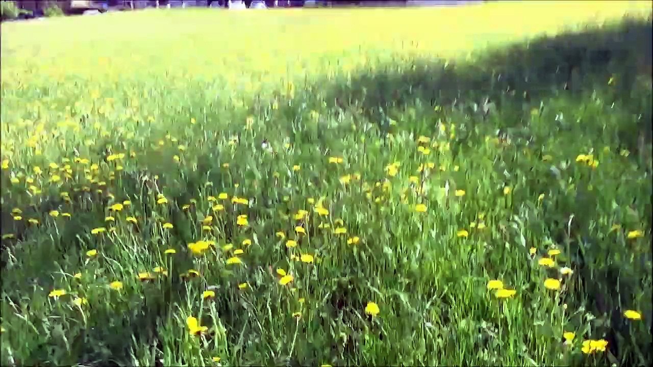 Visite de la Paroisse Notre Dame et Saint Thiébault à la Paroisse Saint Athanase et Saint Amand de Bruxelles