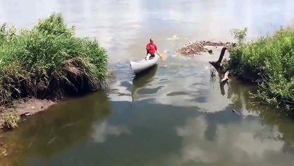 Fantastic fishing