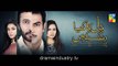 Dil ka Kya Rung Karun OST Title Song on Hum Tv  Drama