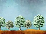 Plantar árboles contra el calentamiento global