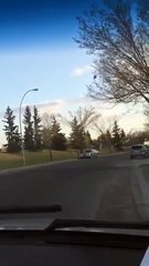 sukhraj brar on sukhbir badal