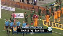 Tigres fracasó en Liguilla, Santos, en 'Semis'