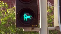 Groen licht voor seks in Nijmegen