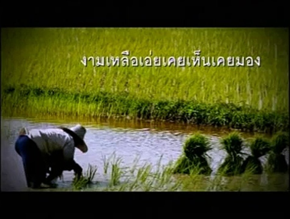 แผ่นดินทอง คุณพระช่วยสำแดงสด