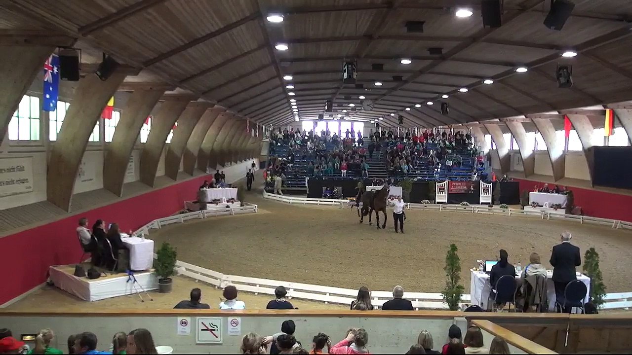 CVI Bern 2015 - Individua l Male CVI3* - Samy El KhattabiL (MAR) – Freestyle2