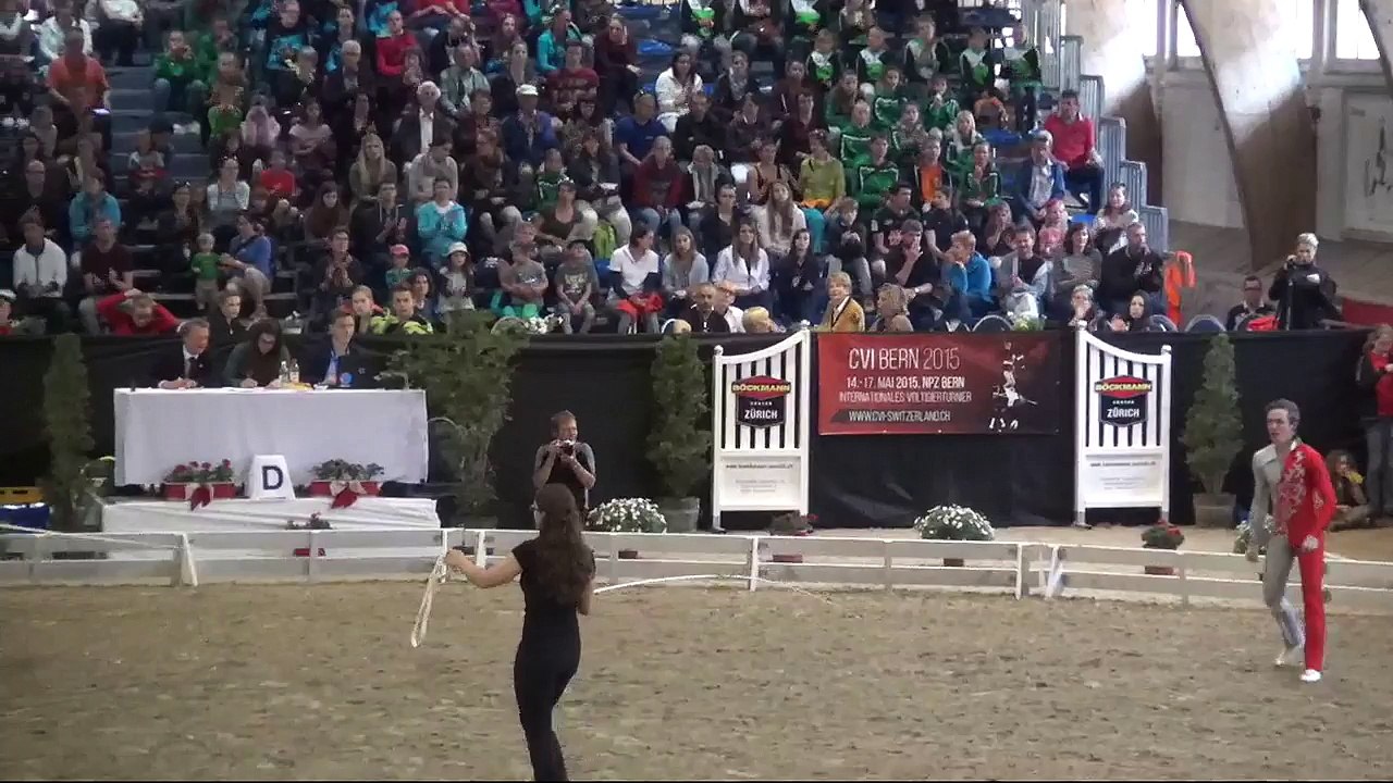 CVI Bern 2015 (REPLAY) - Individual Male CVI3* - Andrin Müller (SUI) – Freestyle2