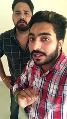 Collage Life Bare Suno