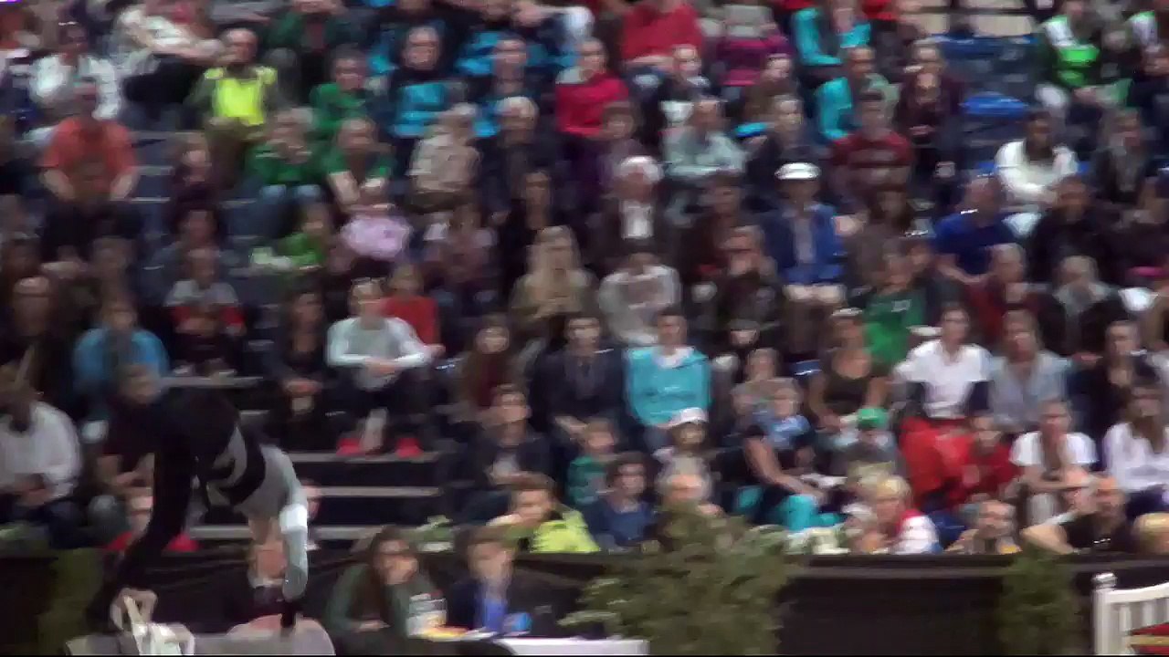 CVI Bern 2015 (REPLAY) - Individual Male CVI3* - Vincent Haennel (FRA) - Freestyle2