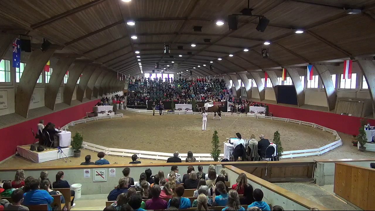 CVI Bern (REPLAY) - 2. and 3. Rank Individual Male CVI3* - Stefan Csandl Lukas Heppler - Freestyle2