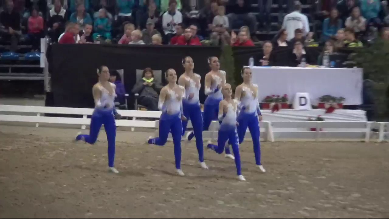 CVI Bern 2015 - 6. Rank Squad CVI3* - Harlekin (SUI) - Freestyle2