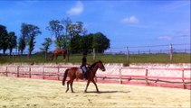 Tornado travail galop monté du pas 17052015