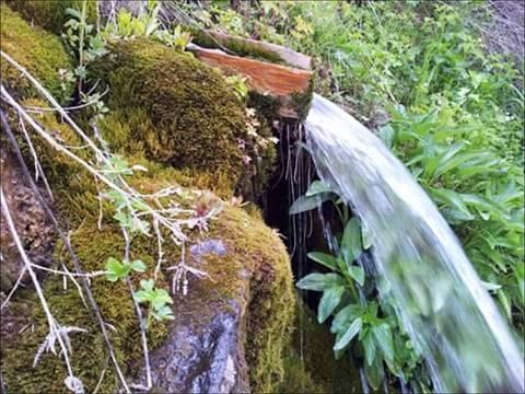 Akdağmadeni Resimleri Ve Burçak Tarlası Türküsü