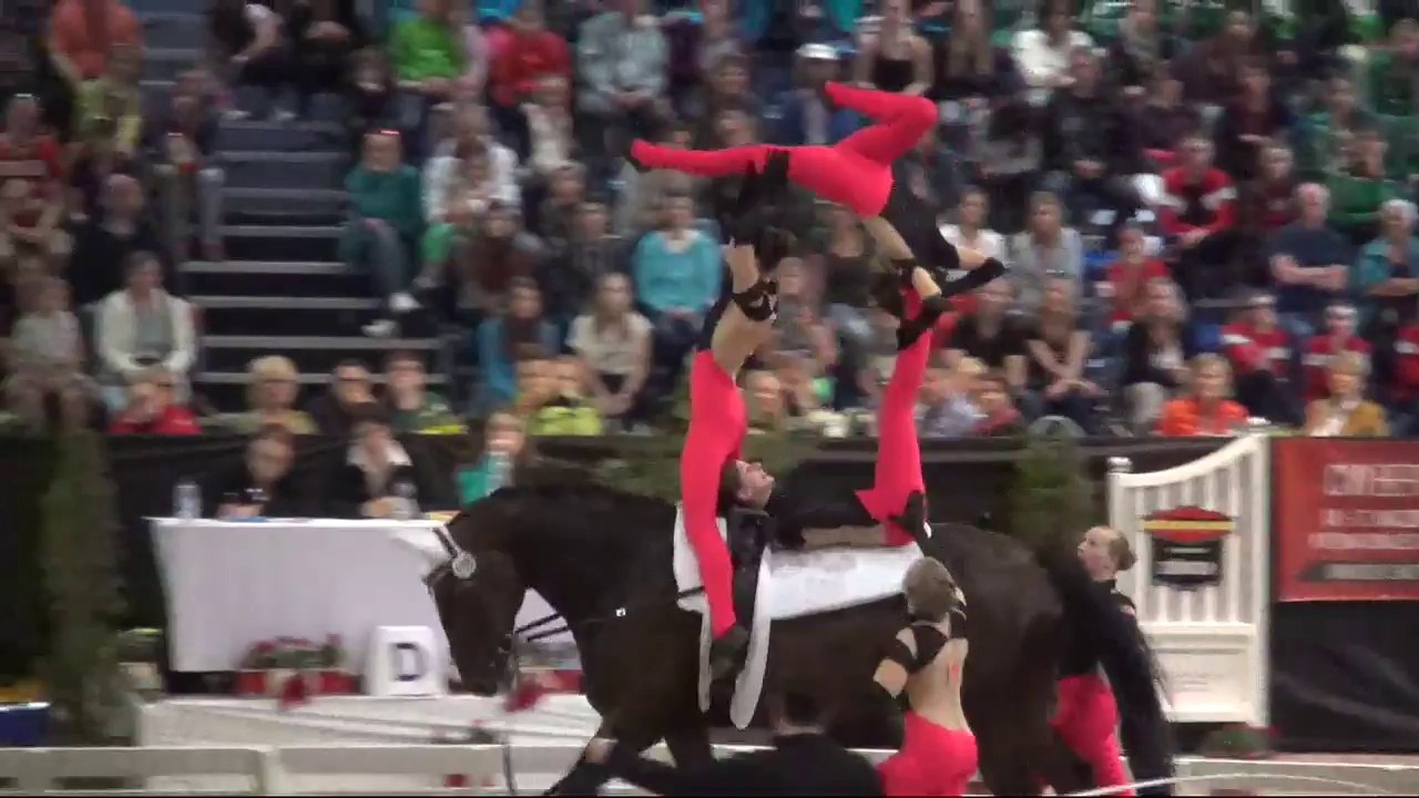 CVI Bern 2015 - 3. Rank Squad CVI3* - Team Nordheim I (GER) - Freestyle2