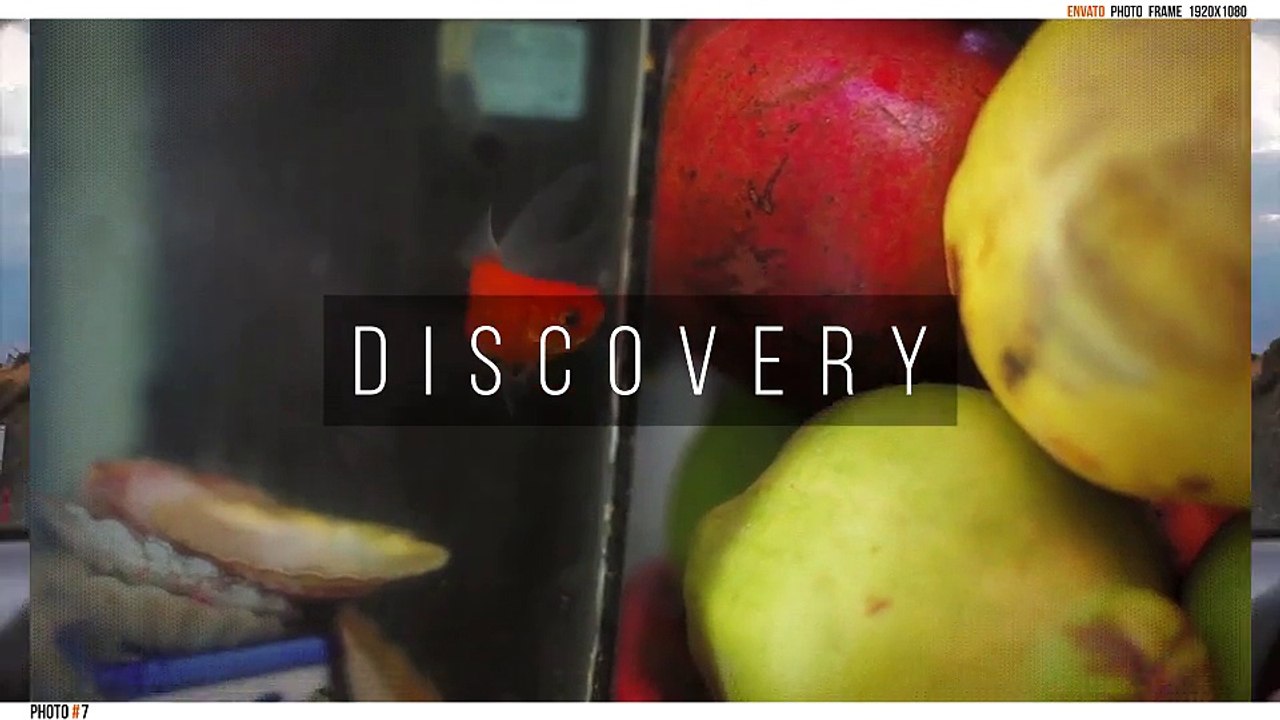 After Effects Project Files - Dynamic Clean Slideshow - VideoHive 10340463