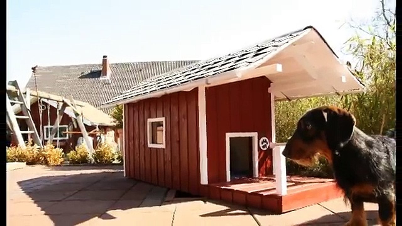 Jaspers Hundehütte