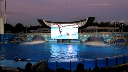 SeaWorld Orlando: Believe (November 2010)