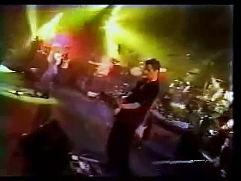 Shakira No Creo Anfibio