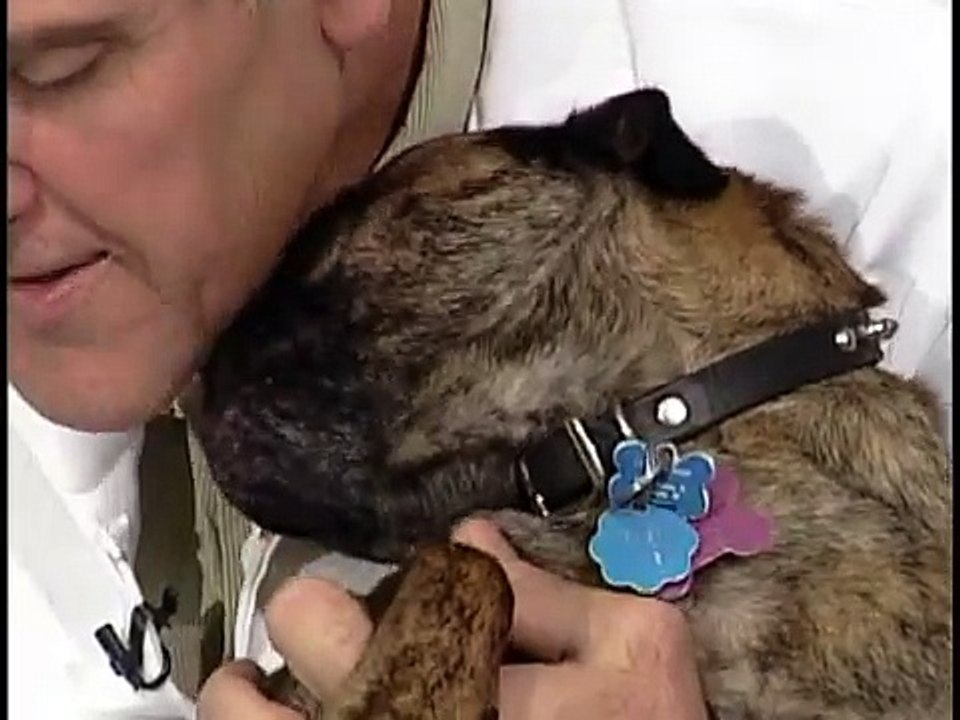 Pets That Drink Too Much Water: Adrenal Gland Problems With Dogs (3 of 3)