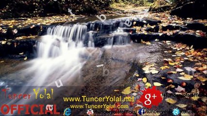 Günün Birinde - Tuncer Yolal 2015