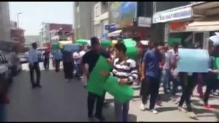 Kocaeli - Dilovası'nda Çevreci Gençlerden Çevre Kirliliği Protestosu