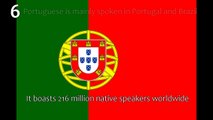 Top 10: Most Spoken Languages (by Native Speakers)