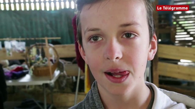 Dinéault (29). Parents et enfants découvrent la tonte des moutons