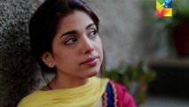 Nikah Episode 20 Full on Hum Tv - 17 May 2015