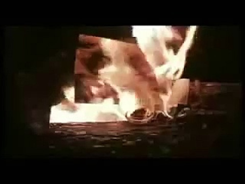 Brandon Lee: The Crow - Sarah's Words of Wisdom