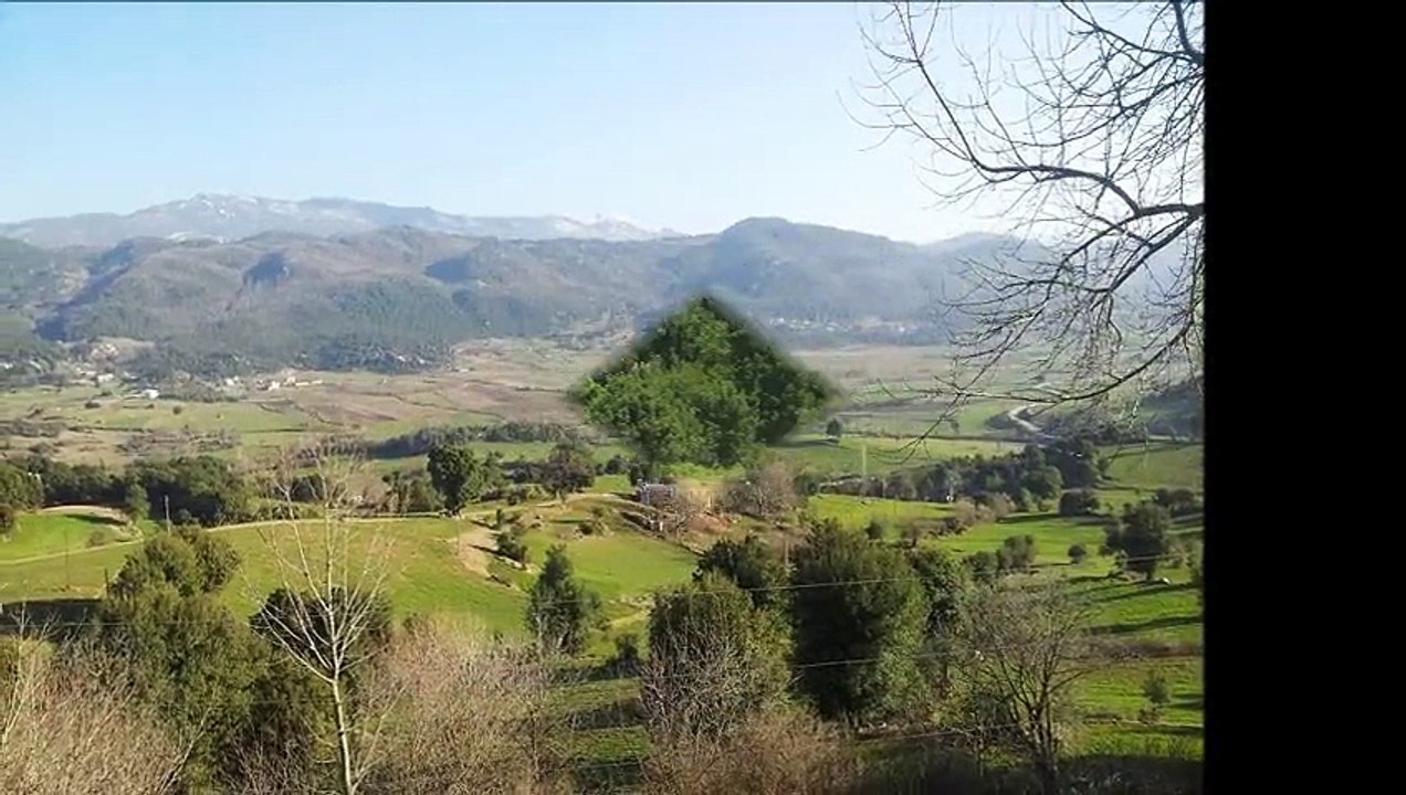 EFİRAGIZLI,DARIOVASI,ALAMEŞE KARELER............ANDIRIN...........