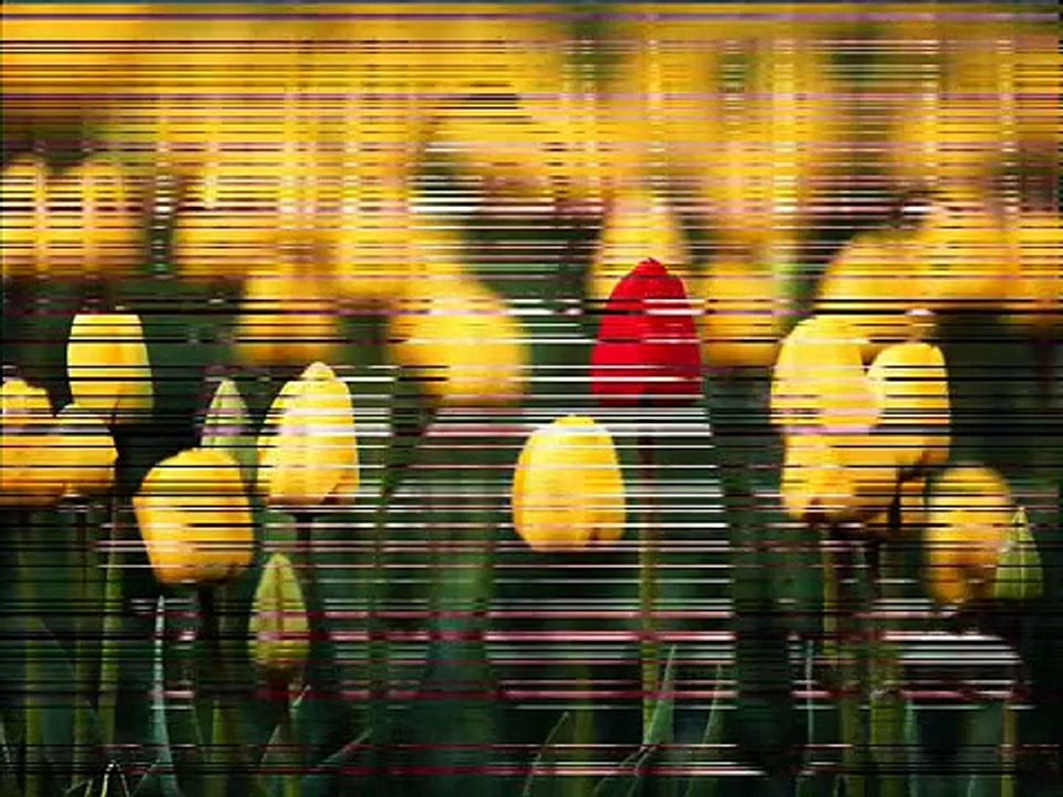 TÜRK SANAT MÜZİĞİ ŞİMDİ UZAKLARDASIN (ZEKİ MÜREN)